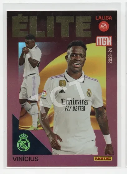 Vorderseite: VINÍCIUS